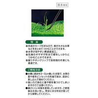 水草ピンセット カーブ 1セット（1個×3）ジェックス