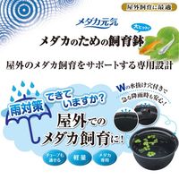 メダカ元気 メダカのための飼育鉢 黒 420 1個 ジェックス