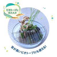 メダカ元気 メダカのための飼育鉢用 フタ 大半円 1個 ジェックス