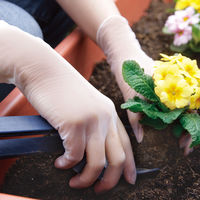 【ビニール手袋】宇都宮製作 シンガープラテRG LL 100枚入