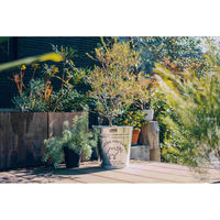 尾上製作所 イラスト入バケツ 特1号 オレンジ 218422 1個（直送品）