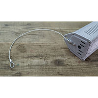 高島屋植物園 Plants NEXLIGHT POWER 白色光 NL-P150-RW/W 1個（直送品）