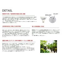 高島屋植物園 Plants NEXLIGHT PAR30 BLACK 電球色 NL-PAR303-BC95 1個（直送品）