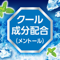 白元アース アイスノン 爆冷スプレー ミントの香り 大容量330mL 1セット（5本）