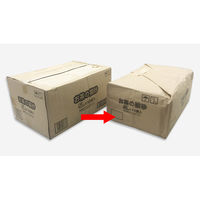 ホワイトバリーン クラフト紙製マチ付き大型紙袋 SKPB-27 1セット(100枚)（直送品）