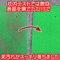 エアロボックス YARDFORCE 電動人工芝クリーナー ハイパワー 落ち葉 枯れ草 手軽掃除 EW PC44-JP 1台（直送品）