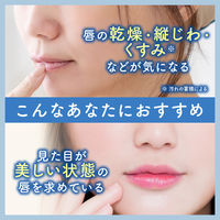 ビフェスタ リップスクラブバーム 10g マンダム