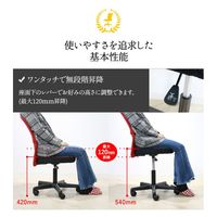 Netforce MATCH メッシュバックチェア 肘無 オフィスチェア 腰痛対策 ブラック VMC-29-AW-BK 1脚（直送品）