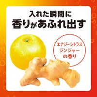 入浴剤 炭酸 温泡 ONPO デカまる エナジーシトラスジンジャーの香り 1箱（4錠入） 透明タイプ アース製薬