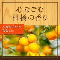 入浴剤 炭酸 温泡 ONPO 贅沢とろりにごり浴 柑橘 1箱（4種×3錠入） にごりタイプ アース製薬