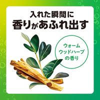 入浴剤 炭酸 温泡 ONPO デカまる ウォームウッドハーブの香り 1箱（4錠入） 透明タイプ アース製薬