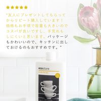 エコストア ディッシュウォッシュリキッド レモン 500mL 1個 食器用洗剤 エコストアジャパン
