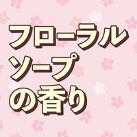 防虫剤 衣類 クローゼットにおくだけ防虫力 フローラルソープの香り 1個 アース製薬