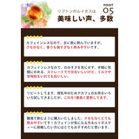 リプトン ヘルシースタイル アップルルイボス ティーバッグ 1個（15バッグ入）