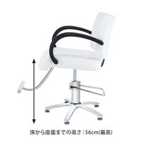 スタイリングチェア ST-629 オフホワイト (座面部分 + ベース) 特別セット 27430-SET-1 1台（直送品）