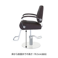 SEVEN BEAUTY (セブンビューティー) スタイリングチェア REST ダークブラウン 37411 1台（直送品）