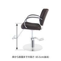 SEVEN BEAUTY (セブンビューティー) スタイリングチェア CURVE ダークブラウン 37410 1台（直送品）