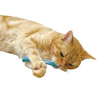 キャティーマン 猫ちゃん歯ブラシ かみかみ歯ピカ 2個入 1個 ドギーマンハヤシ 猫用 おもちゃ