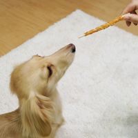 ドギーマン 仕上名人 ササミロールデンタルガム 無添加 26本（13本×2袋）3袋 ドッグフード おやつ