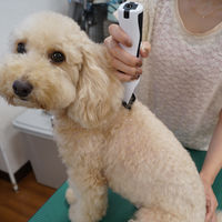 ドギーマン 犬用 バリカン ホームバーバー エキスパートスタイル 1個