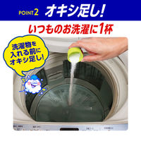 グラフィコ オキシクリーン EX つめかえ用 1000g 4582107955699 1セット(1個×10)