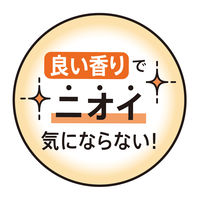 ナプキン 生理用品 ソフィ センターイン コンパクト 特に多い昼用 羽つき 24.5cm 金木犀の香り 1パック（16枚入）ユニ・チャーム
