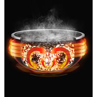 T-fal ザ・ライス 遠赤外線3DIH炊飯器 5.5合 シルバー RK890EJP 1台