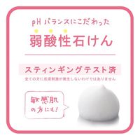 VIO CLEAN 105g 1セット（1個×2） ペリカン石鹸