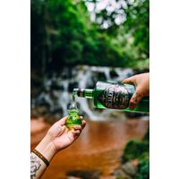 コカレロ クラシコ 29度 700ml 1本 国分 リキュール