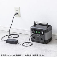 サンワサプライ  ポータブル電源（296Wh） BTL-RDC33（直送品）