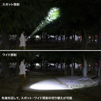 サンワサプライ ペン型ライト(ショートタイプ) LED-PEN2BK 1個（直送品）