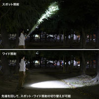 サンワサプライ ペン型ライト(ロングタイプ) LED-PEN3BK 1個