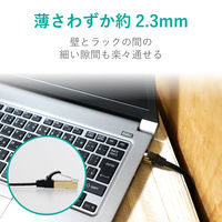 LANケーブル CAT7 爪折れ防止 フラット 2m ブラック ECLD-TWSFT/BK2 エレコム 1個