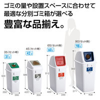 テラモト エコ分別カラーペールW45 蓋のみ 赤 オープン もえるゴミ 45L DS1946122 1個