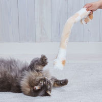 ペティオ にゃんプロ 猫じゃらし となりのねこパンチ 1本 猫用 おもちゃ