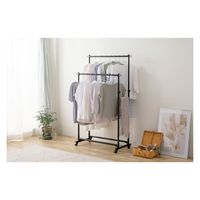 アイリスオーヤマ スタイルハンガーハード ダブルタイプ PI-H2R 1台