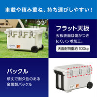 【アウトドア】アイリスオーヤマ 真空断熱クーラーボックス 60L ホワイトアッシュ VITC-60 1個