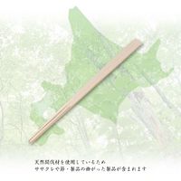 溝端紙工印刷 寄付型国産割箸 小袋入 天削 24cm 1箱（2000膳：20膳入×100袋）