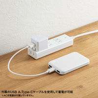 モバイルバッテリー 5000mAh BTL-RDC32EC 1個 サンワサプライ