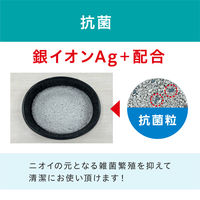猫砂 鉱物 クリーン＆フレッシュ 10L（1箱（5L入）×2）3個 大容量 オリジナル
