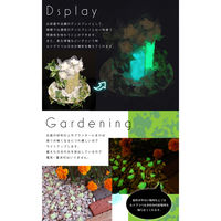 昭光物産(株) 夜光砂利 ルナグラベル グリーン 505389 1セット(2袋)（直送品）