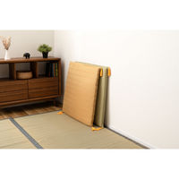 東谷 ROOM ESSENCE 座布団 幅700×奥行700mm ゴールド BC-114FGD 1枚（直送品）