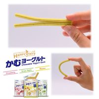 ハッピー・スリーフェアリー かむヨーグルト 青リンゴ 90g（14本入）1袋 フォーキャンス