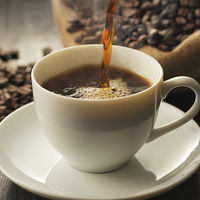 【コーヒー豆】キャラバンコーヒー ゴールデンキャメル （豆） 1セット（160g×3袋）