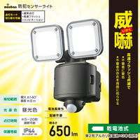 オーム電機 防犯センサーライトB65W2 07-8806 1個