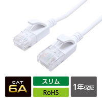 ナカバヤシ カテゴリー6A LANケーブル スリム ホワイト 5m C6A-S05WH 1本