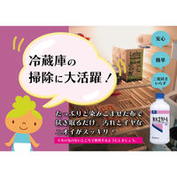 健栄製薬 無水エタノールP400ml 1セット(6本入)