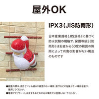 タカショー ブローライト はしごサンタ LGT-BL01 1個