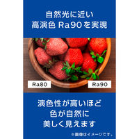 フィリップス デスクライト モニターライトモデル DSK204 1台