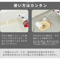 アイメディア 業務用スカッと浴室洗浄 1008813 1個（直送品）